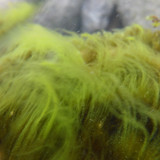 Water; Publicdomain; Cc0; Freeimage;