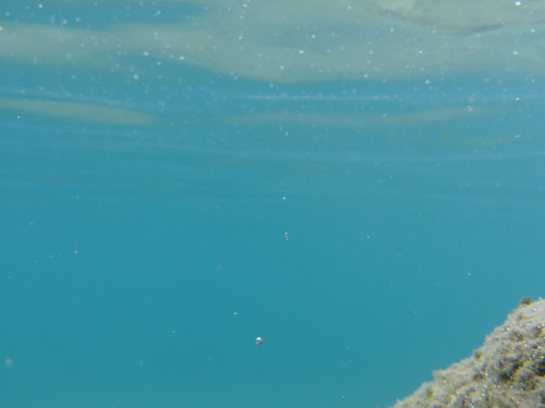 Water; Publicdomain; Cc0; Freeimage;.jpg