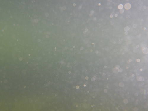 Water; Publicdomain; Cc0; Freeimage;.jpg