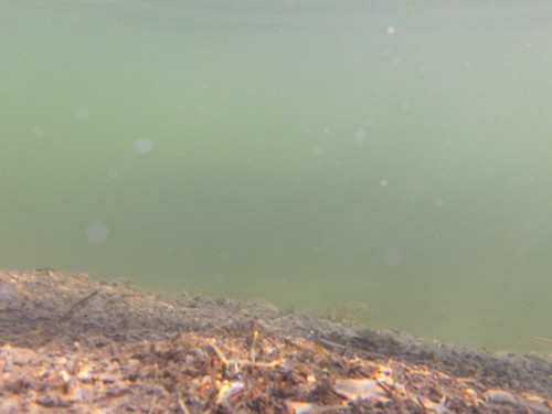 Water; Publicdomain; Cc0; Freeimage;.jpg