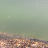 Water; Publicdomain; Cc0; Freeimage;