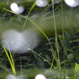 Waters Droplets Drops Wet Publicdomain (59)