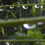 Waters Droplets Drops Wet Publicdomain (56)