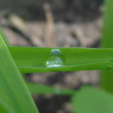 Waters Droplets Drops Wet Publicdomain (69)