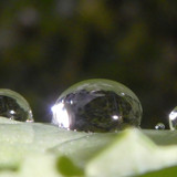 Waters Droplets Drops Wet Publicdomain (62)