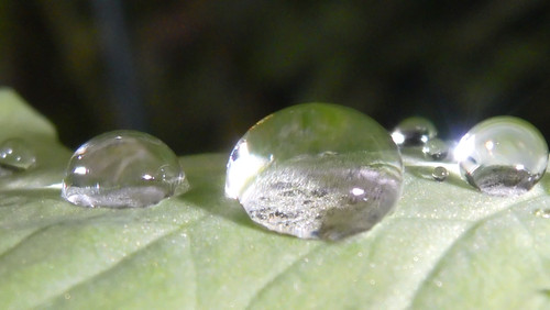 Waters Droplets Drops Wet Publicdomain (63).jpg