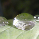 Waters Droplets Drops Wet Publicdomain (63)
