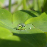 Waters Droplets Drops Wet Publicdomain (68)
