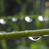 Waters Droplets Drops Wet Publicdomain (57)