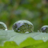 Waters Droplets Drops Wet Publicdomain (64)