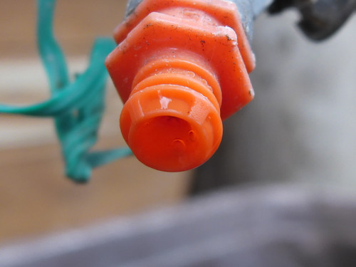 Waters Droplets Drops Wet Publicdomain (13).jpg