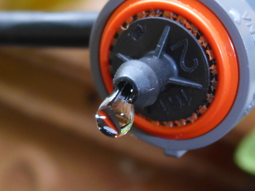 Waters Droplets Drops Wet Publicdomain (14).jpg