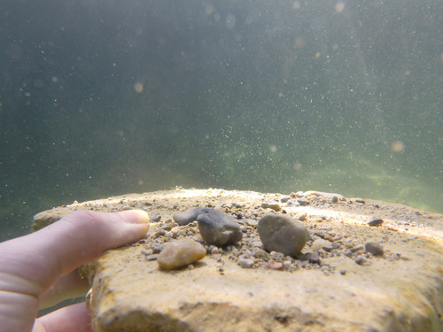 Water; Publicdomain; Cc0; Freeimage;.jpg