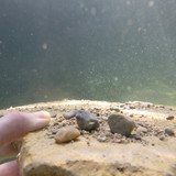 Water; Publicdomain; Cc0; Freeimage;