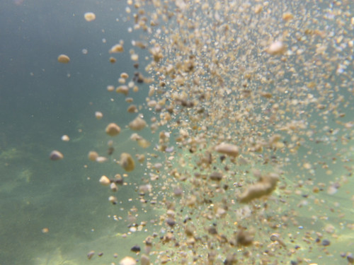 Water; Publicdomain; Cc0; Freeimage;.jpg