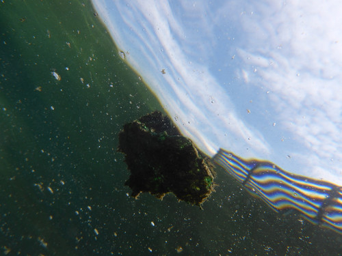 Water; Publicdomain; Cc0; Freeimage;.jpg