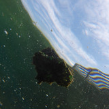 Water; Publicdomain; Cc0; Freeimage;