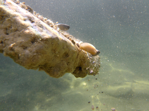 Water; Publicdomain; Cc0; Freeimage;.jpg