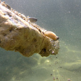 Water; Publicdomain; Cc0; Freeimage;