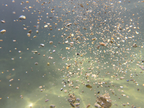 Water; Publicdomain; Cc0; Freeimage;.jpg