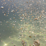 Water; Publicdomain; Cc0; Freeimage;