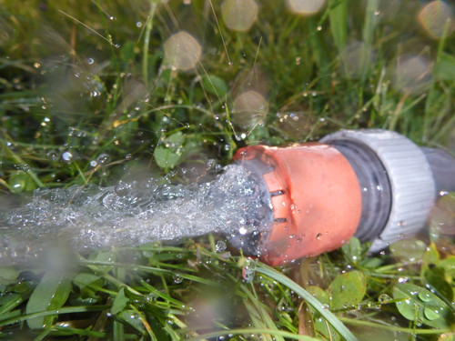 Waters Water Stream Wet Publicdomain (14).jpg