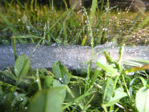 Waters Water Stream Wet Publicdomain (13).jpg