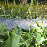 Waters Water Stream Wet Publicdomain (13)