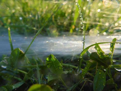 Water; Publicdomain; Cc0; Freeimage;.jpg