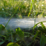 Water; Publicdomain; Cc0; Freeimage;