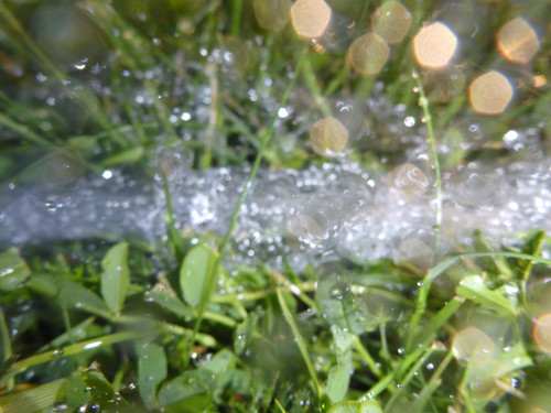 Waters Water Stream Wet Publicdomain (17).jpg