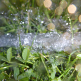 Waters Water Stream Wet Publicdomain (17)