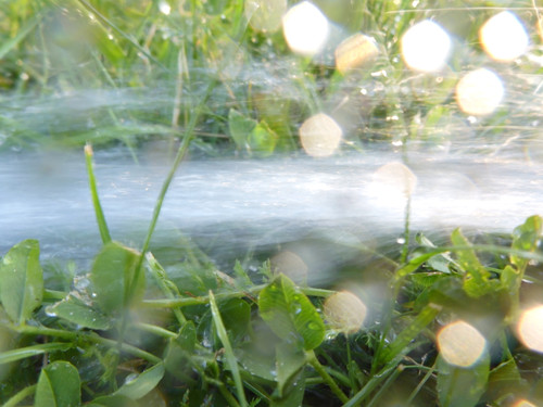 Water; Publicdomain; Cc0; Freeimage;.jpg