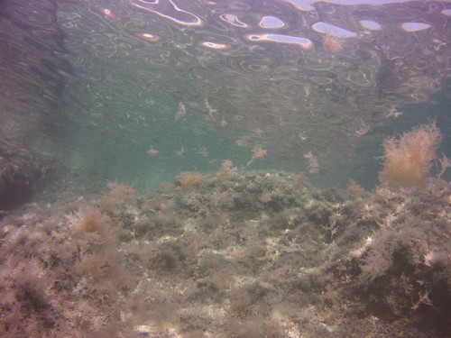 Sea; Publicdomain; Cc0; Freeimage;.jpg