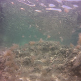 Sea; Publicdomain; Cc0; Freeimage;