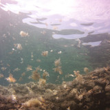 Sea; Publicdomain; Cc0; Freeimage;