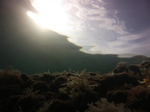 Sea; Publicdomain; Cc0; Freeimage;.jpg