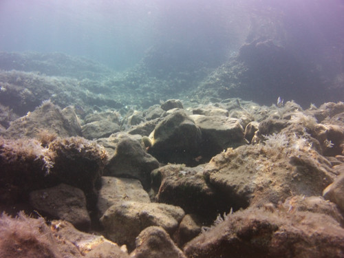 Sea; Publicdomain; Cc0; Freeimage;.jpg