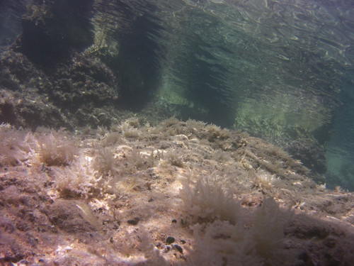 Sea; Publicdomain; Cc0; Freeimage;.jpg