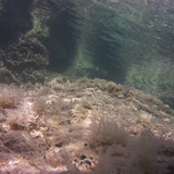 Sea; Publicdomain; Cc0; Freeimage;