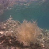 Sea; Publicdomain; Cc0; Freeimage;