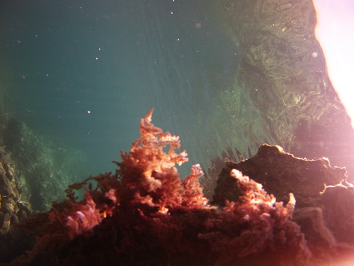 Sea; Publicdomain; Cc0; Freeimage;.jpg