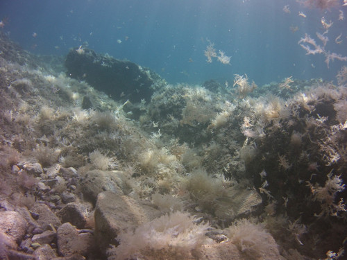 Sea; Publicdomain; Cc0; Freeimage;.jpg