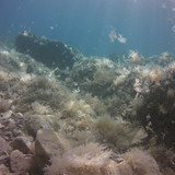 Sea; Publicdomain; Cc0; Freeimage;