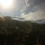 Sea; Publicdomain; Cc0; Freeimage;