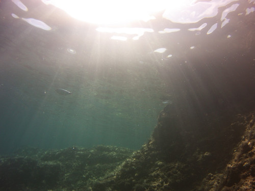 Sea; Publicdomain; Cc0; Freeimage;.jpg