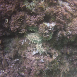 Sea; Publicdomain; Cc0; Freeimage;