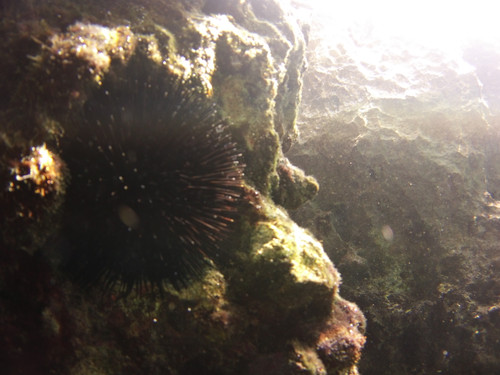 Sea; Publicdomain; Cc0; Freeimage;.jpg