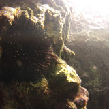 Sea; Publicdomain; Cc0; Freeimage;