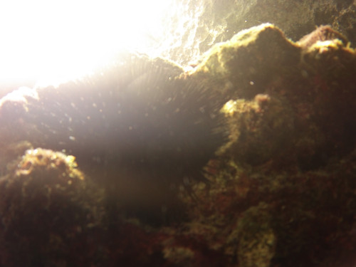 Sea; Publicdomain; Cc0; Freeimage;.jpg